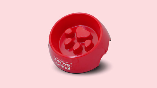 ข้อดีของ Slow Feeder Food Bowl (ชามป้อนช้า) ทำไมเราอยากให้คุณลองมีติดบ้านไว้?