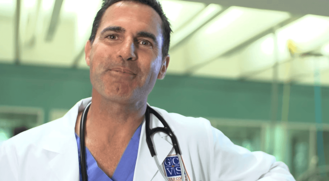 Dr. Brian Beale DVM, DACVS