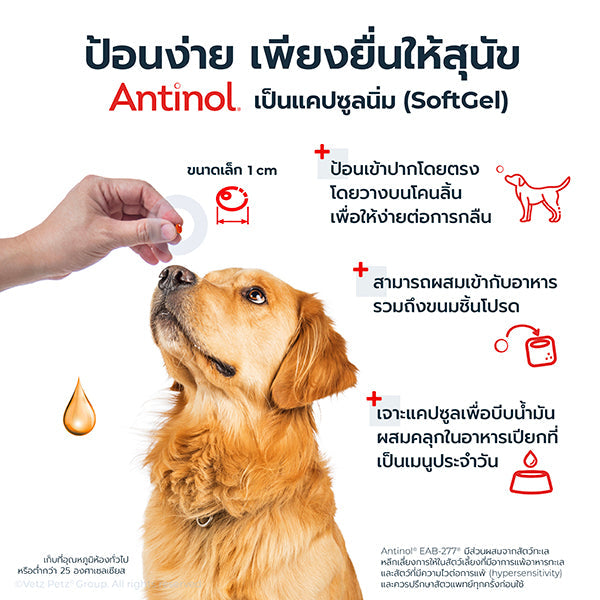 Antinol<sup>®</sup>️ EAB 277™ for Dogs (Legacy2)