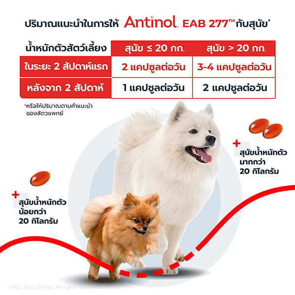 Antinol<sup>®</sup>️ EAB 277™ for Dogs (Legacy2)