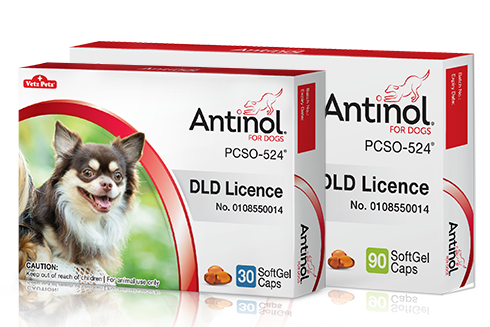Antinol<sup>®</sup> for Dogs
