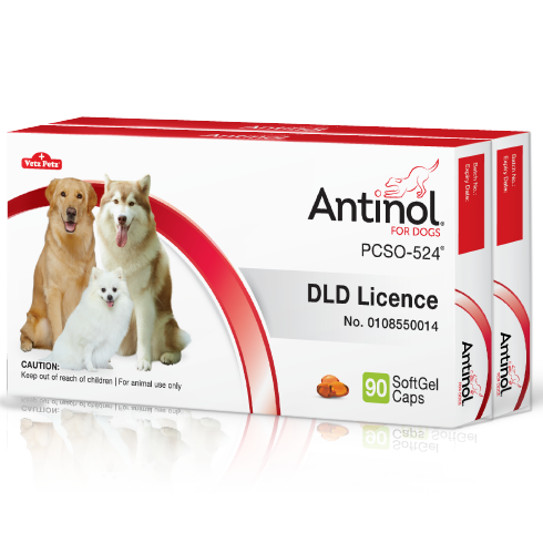 Antinol<sup>®</sup> for Dogs