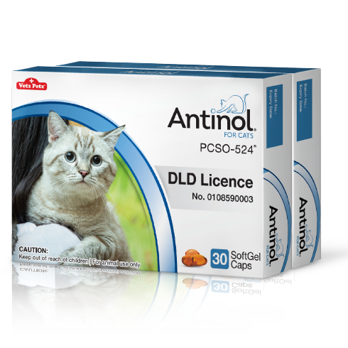Antinol<sup>®</sup> for Cats