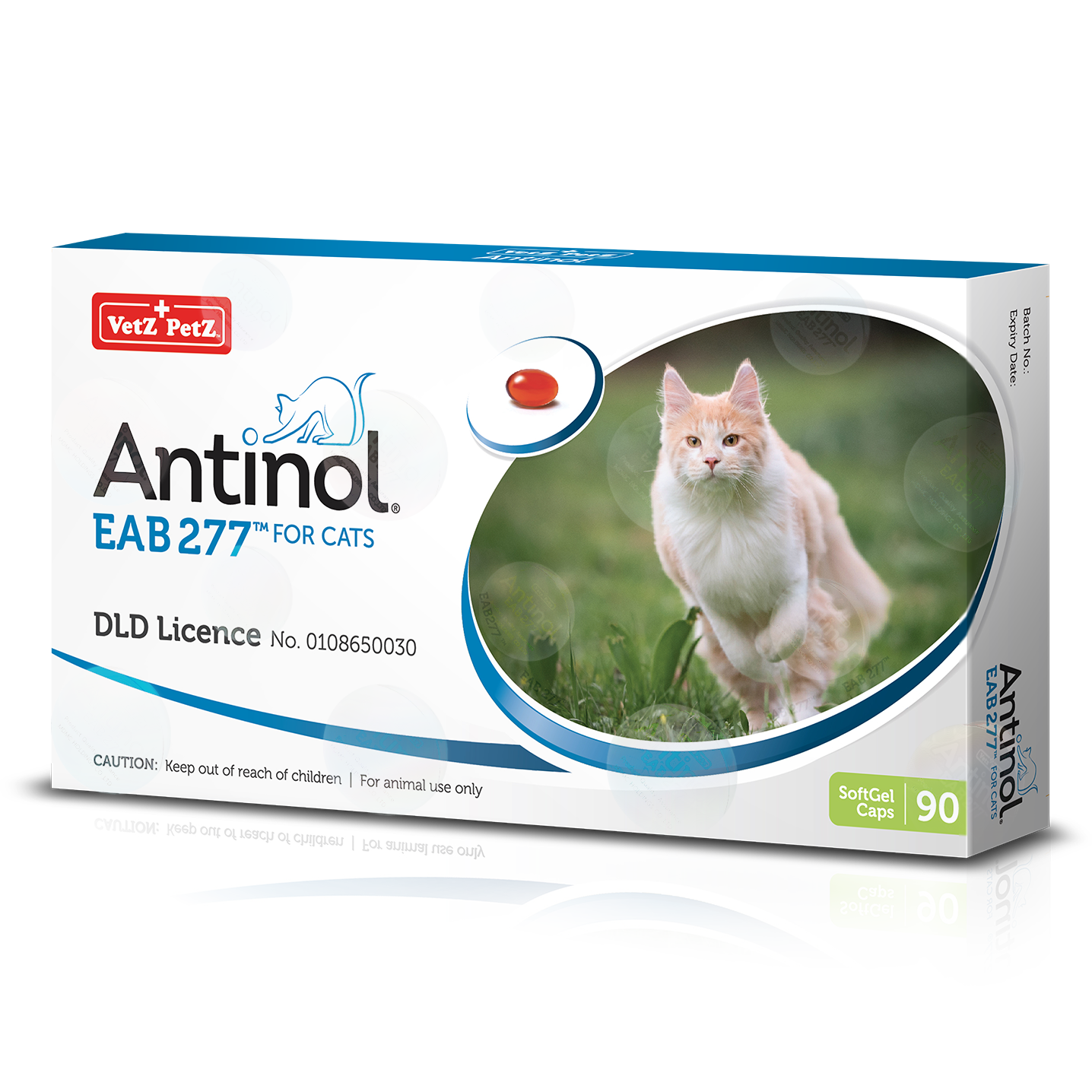 antinol แมว