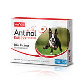 Antinol<sup>®</sup>️ EAB 277™ for Dogs