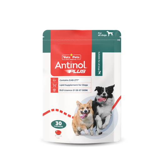 Antinol<sup>®</sup>️ EAB 277™ for Dogs