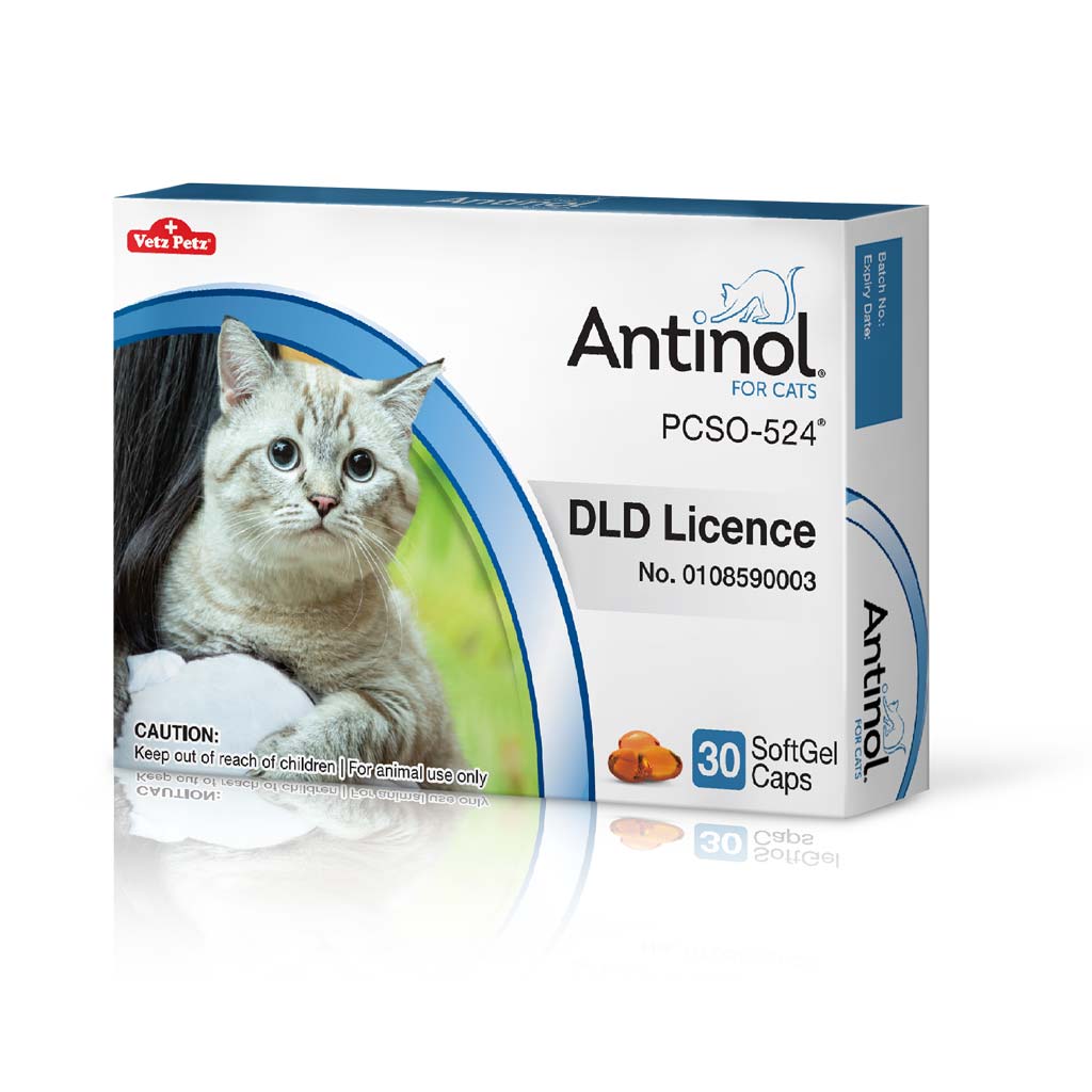 Antinol<sup>®</sup> for Cats